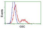 GSC Antibody in Flow Cytometry (Flow)