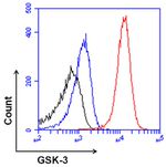 GSK3 alpha/beta Antibody in Flow Cytometry (Flow)