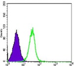 GSK3B Antibody in Flow Cytometry (Flow)