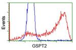 GSPT2 Antibody in Flow Cytometry (Flow)