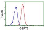 GSPT2 Antibody in Flow Cytometry (Flow)