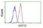 GSTT2 Antibody in Flow Cytometry (Flow)