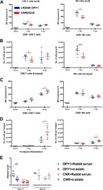 Granzyme B Antibody in Flow Cytometry (Flow)