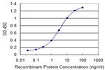 A1BG Antibody in ELISA (ELISA)