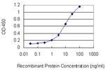 AAMP Antibody in ELISA (ELISA)