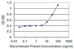 ABCF1 Antibody in ELISA (ELISA)