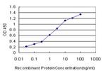 ABL2 Antibody in ELISA (ELISA)