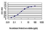 ACVR1B Antibody in ELISA (ELISA)