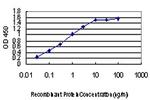 ACVR1B Antibody in ELISA (ELISA)