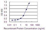 ACVRL1 Antibody in ELISA (ELISA)