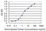 ADCYAP1R1 Antibody in ELISA (ELISA)