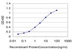 ADH6 Antibody in ELISA (ELISA)