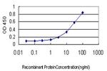 ADRA1A Antibody in ELISA (ELISA)