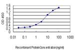 AEBP1 Antibody in ELISA (ELISA)