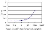 NR0B1 Antibody in ELISA (ELISA)