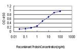 AHSG Antibody in ELISA (ELISA)