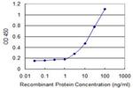 AKT1 Antibody in ELISA (ELISA)