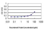 AKT1 Antibody in ELISA (ELISA)