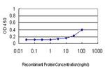 AKT1 Antibody in ELISA (ELISA)