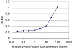 AKT1 Antibody in ELISA (ELISA)