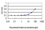 AKT1 Antibody in ELISA (ELISA)