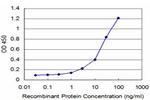 AKT2 Antibody in ELISA (ELISA)