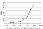 AKT2 Antibody in ELISA (ELISA)