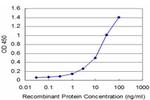 AKT2 Antibody in ELISA (ELISA)