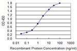 ALAS1 Antibody in ELISA (ELISA)