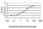 ALAS2 Antibody in ELISA (ELISA)