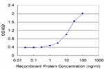 ALAS2 Antibody in ELISA (ELISA)