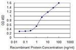 ALPI Antibody in ELISA (ELISA)