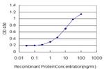 AMBP Antibody in ELISA (ELISA)