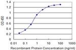 AMELX Antibody in ELISA (ELISA)