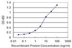 ANPEP Antibody in ELISA (ELISA)