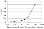 NUDT2 Antibody in ELISA (ELISA)