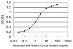 BIRC4 Antibody in ELISA (ELISA)