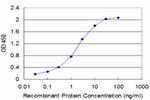 FAS Antibody in ELISA (ELISA)