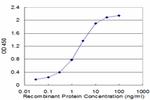 FAS Antibody in ELISA (ELISA)