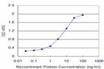 FAS Antibody in ELISA (ELISA)