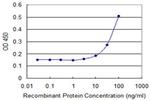 FAS Antibody in ELISA (ELISA)