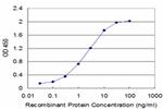 FAS Antibody in ELISA (ELISA)