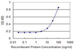 FAS Antibody in ELISA (ELISA)