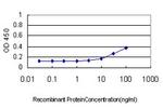 FASLG Antibody in ELISA (ELISA)