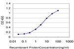 ARAF Antibody in ELISA (ELISA)