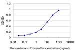 ARAF Antibody in ELISA (ELISA)