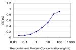 ARAF Antibody in ELISA (ELISA)