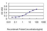 ARF5 Antibody in ELISA (ELISA)