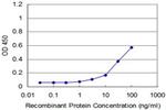 RHOA Antibody in ELISA (ELISA)