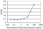 RHOC Antibody in ELISA (ELISA)